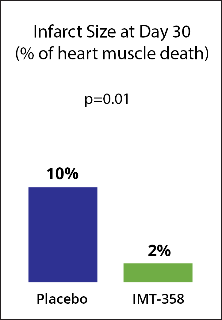 Graph - Infarct Size at Day 30
